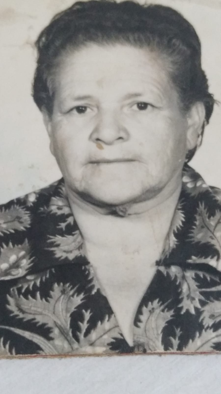 Minha Bisavó Doralina
